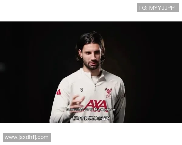 索博斯洛伊的魅力探秘与历史渊源深度解析之旅 索博斯洛伊的魅力探秘与历史渊源深度解析之旅