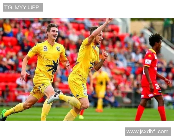 2017年西悉尼对阵惠灵顿精彩赛事回顾与分析