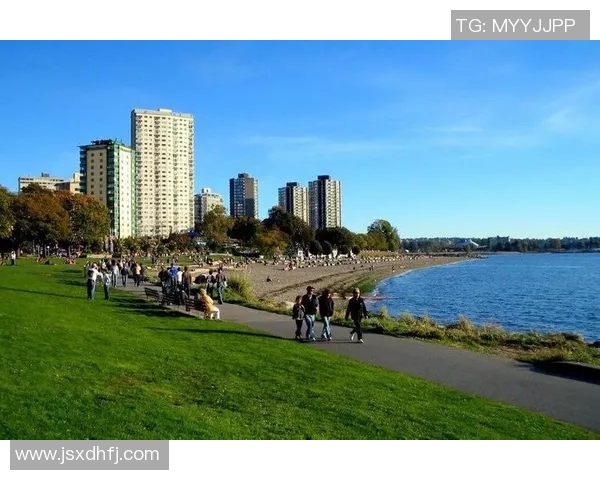 温哥华白与多伦多的精彩对决谁能笑到最后